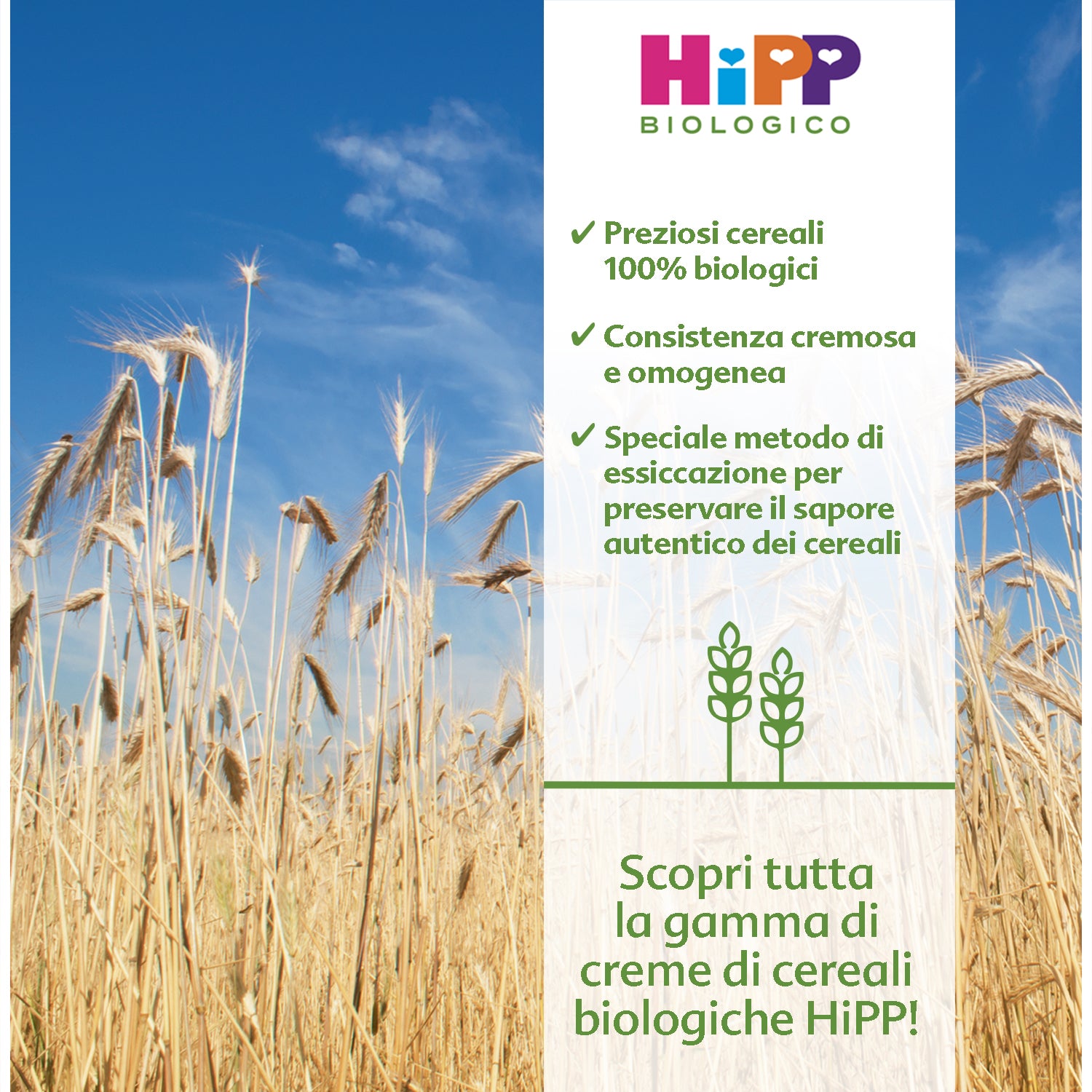 Hipp - Crema Multicereali: Confezione 200 gr