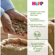 Hipp - Gallette Di Riso Mela: Confezione 35 gr