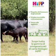 Black calf nurses from its mother in a lush green pasture promoting HiPP organic meat baby food. 
