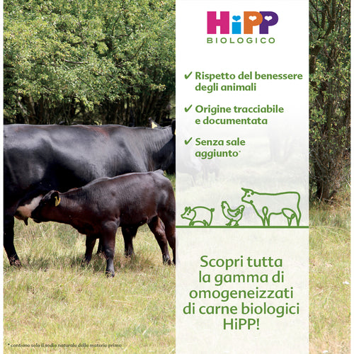 Hipp - Omogeneizzato Carne Pollo: Confezione Multipack 4x80 gr
