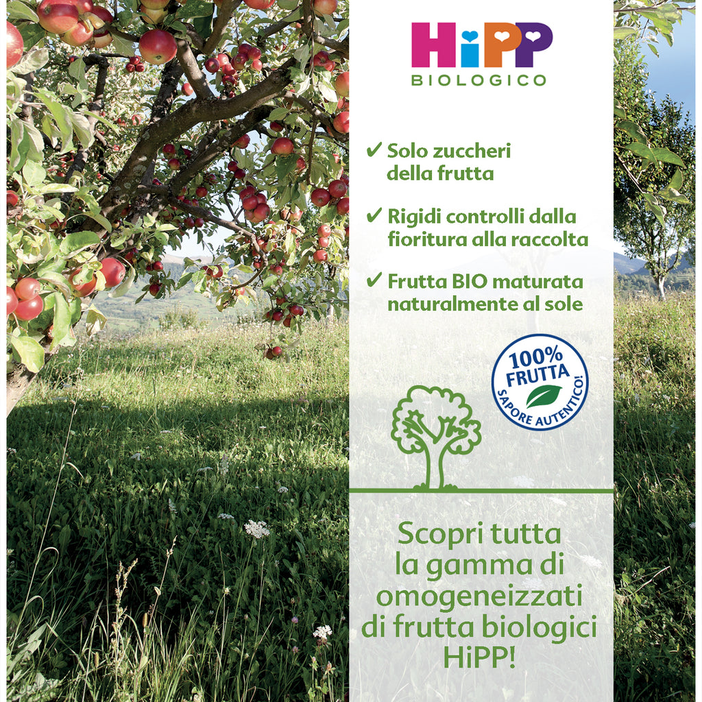 Hipp - Omogeneizzato Frutta Mela Golden Multipack: Confezione 6x80 gr