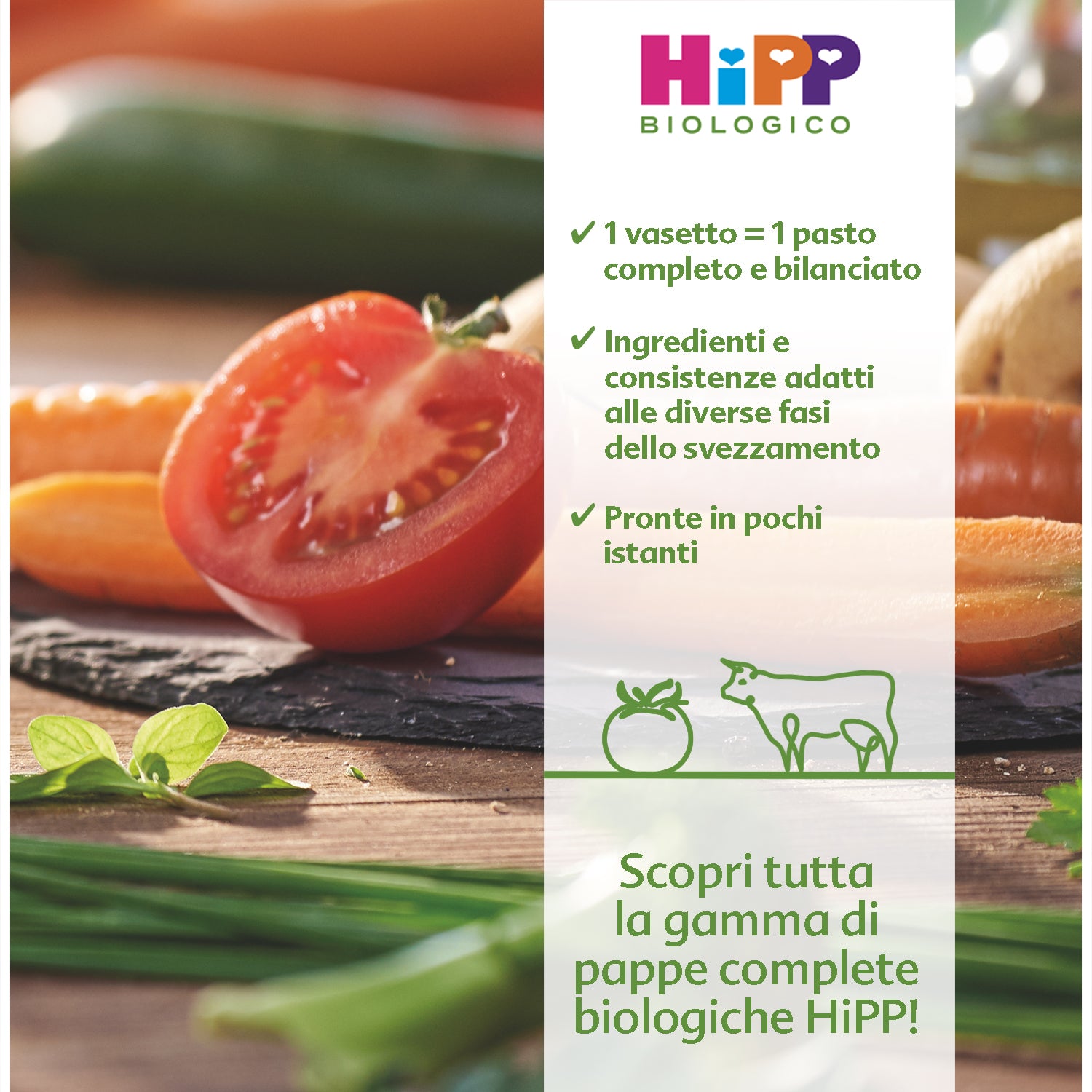 Hipp - Pappa Pronta Spaghettini Al Ragù Delicato: Confezione 220 gr