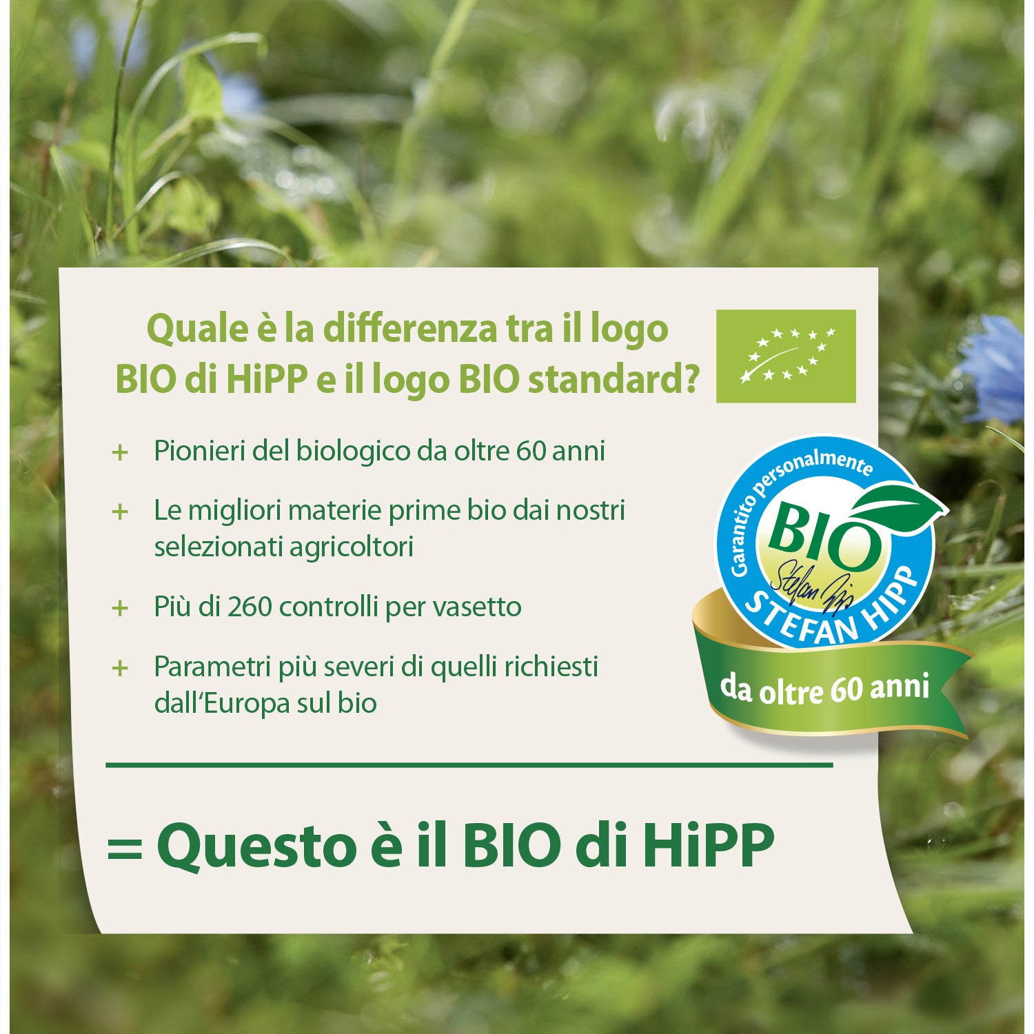 Hipp - Omogeneizzato Tesori Di Frutta Mela Fragola E Lampone: Confezione 160 gr