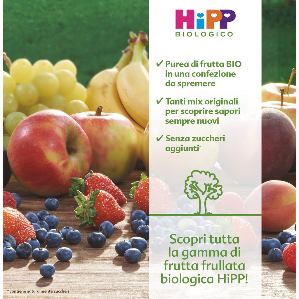 Hipp - Frutta Frullata Mela Mango Pesca: Confezione 90 gr
