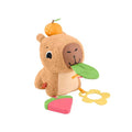 Fisher Price - Marmotta Coccole E Merenda HYR54