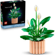 LEGO - Botanicals Spatifillo 11504