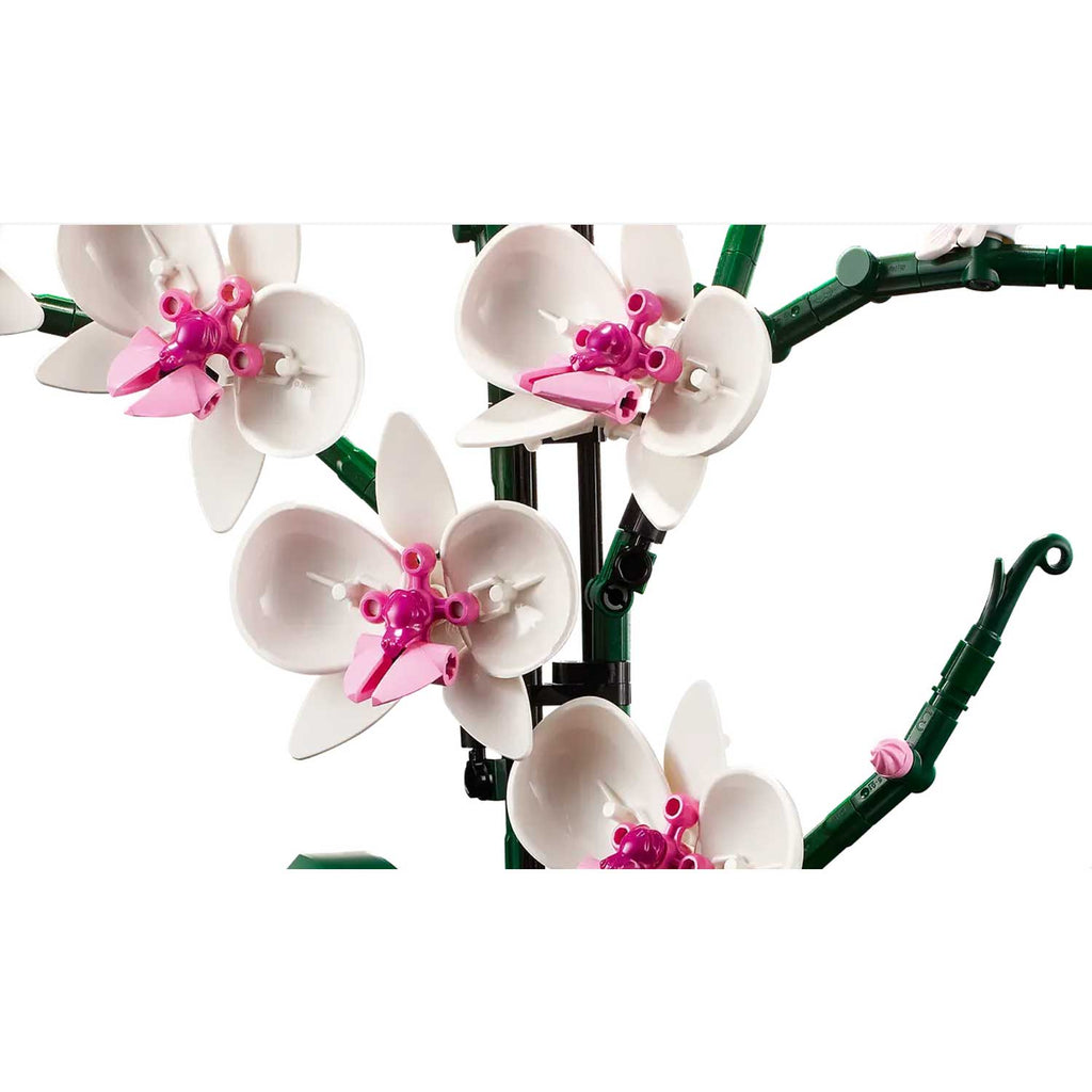 LEGO - Botanicals Orchidea 10311