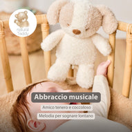 Nattou - Teddy Carillon Cane Ps26 C