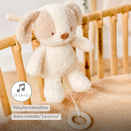 Nattou - Teddy Carillon Cane Ps26 C
