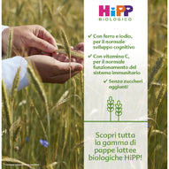 Hipp - Pappa Lattea Mela: Confezione 250 gr