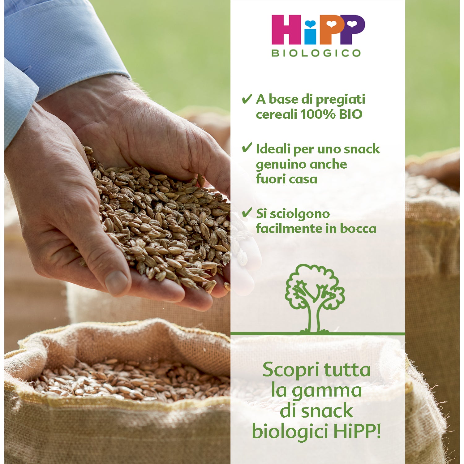 Hipp - Snack Anellini Di Cereali: Confezione 25 gr